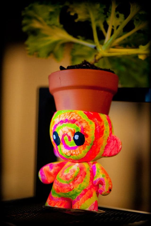 kale munny